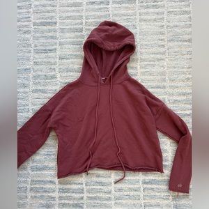 Alo Yoga Cropped Hoodie